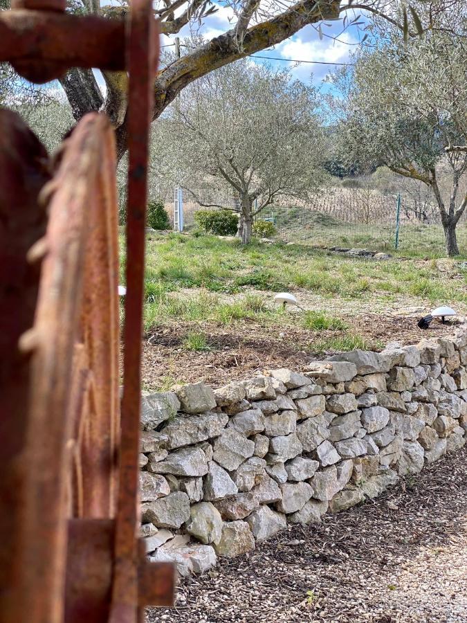 Saint-Jean-de-Barrou Gite Romarin Avec Spa מראה חיצוני תמונה